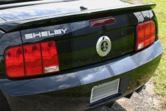 Shelbyblack_01_000