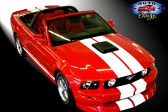 2006 Ford Mustang GT Con.