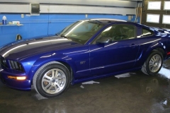 2006GT350blue_7