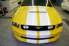 2007jaune_05