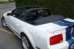 Blancconv_05