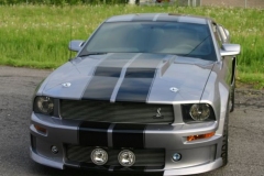 Eleanor_04