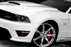 P1050012c
